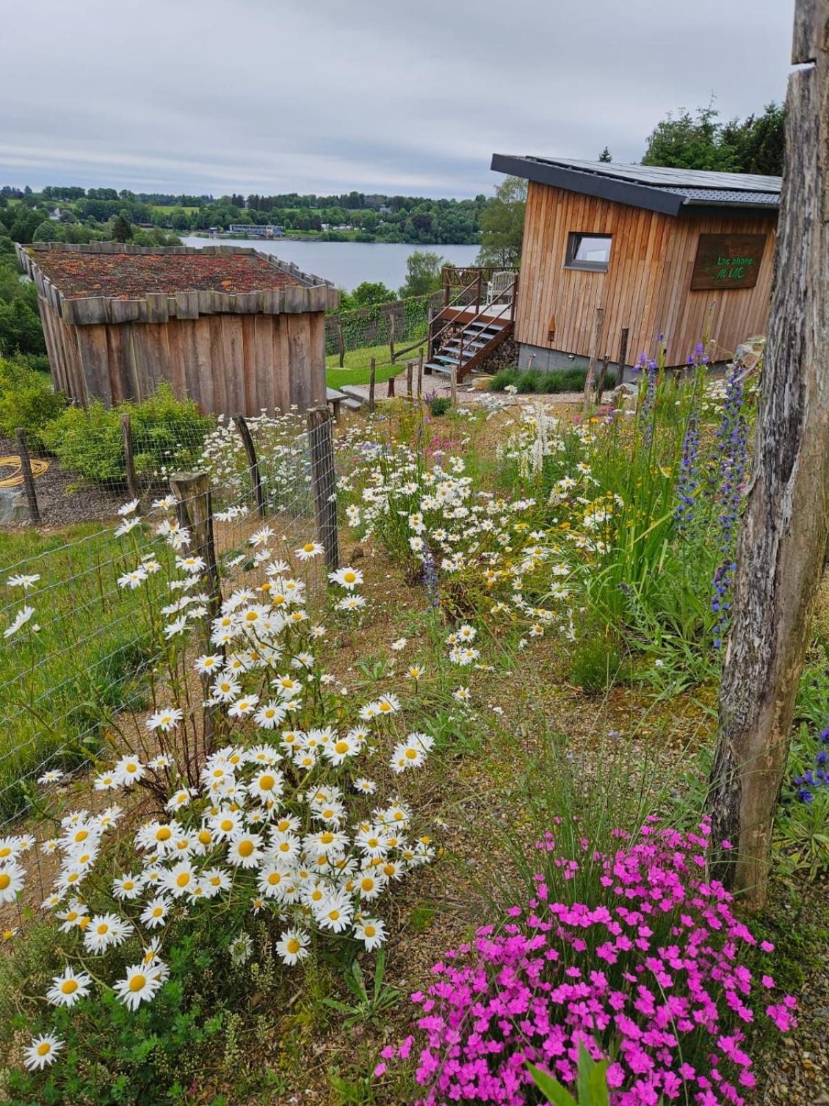 Lac Abane Au Lac Butgenbach Exterior photo